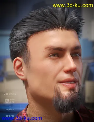 3D打印模型dForce Eddie Hair and Goatee for Genesis 8 Male(s)的图片