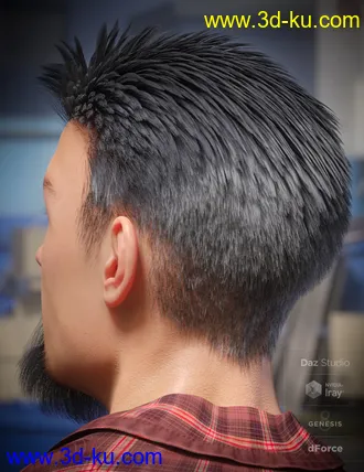 3D打印模型dForce Eddie Hair and Goatee for Genesis 8 Male(s)的图片