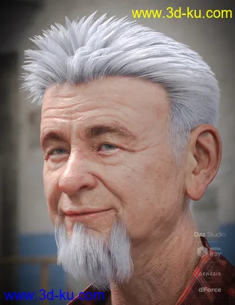 3D打印模型dForce Eddie Hair and Goatee for Genesis 8 Male(s)的图片
