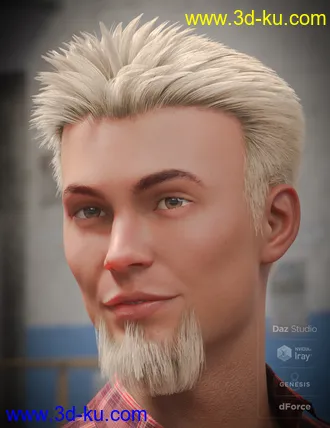3D打印模型dForce Eddie Hair and Goatee for Genesis 8 Male(s)的图片