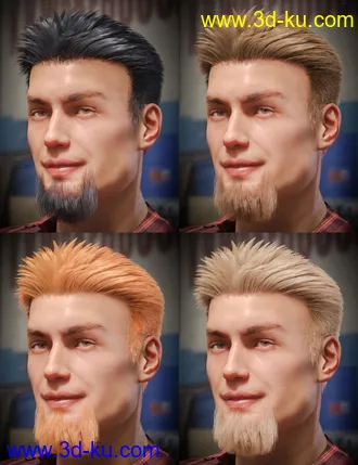 3D打印模型dForce Eddie Hair and Goatee for Genesis 8 Male(s)的图片