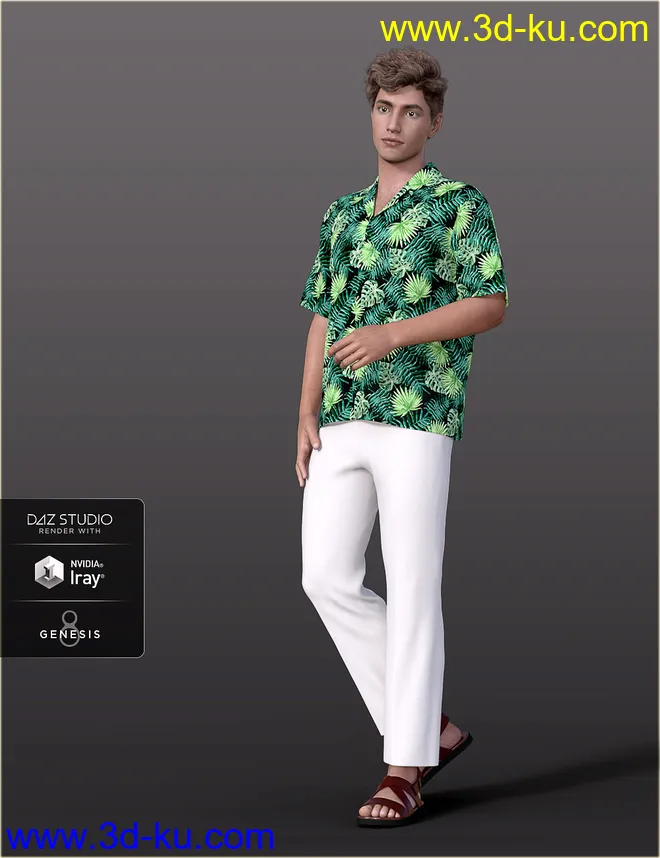 dForce H&C Hawaiian Shirts Outfit for Genesis 8 Male(s)模型的图片1