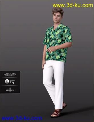 3D打印模型dForce H&C Hawaiian Shirts Outfit for Genesis 8 Male(s)的图片