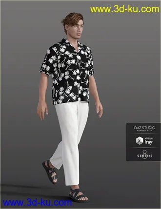 3D打印模型dForce H&C Hawaiian Shirts Outfit for Genesis 8 Male(s)的图片