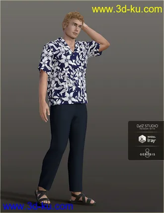 3D打印模型dForce H&C Hawaiian Shirts Outfit for Genesis 8 Male(s)的图片