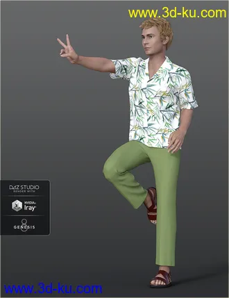 3D打印模型dForce H&C Hawaiian Shirts Outfit for Genesis 8 Male(s)的图片