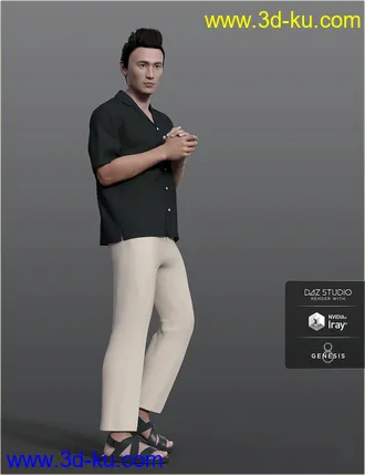 3D打印模型dForce H&C Hawaiian Shirts Outfit for Genesis 8 Male(s)的图片