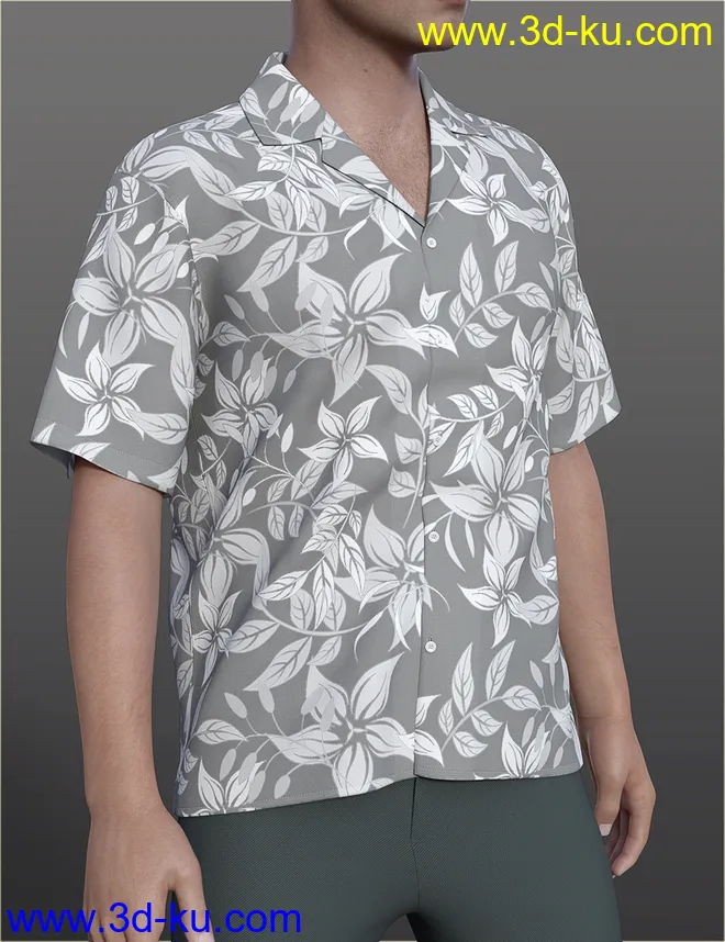dForce H&C Hawaiian Shirts Outfit for Genesis 8 Male(s)模型的图片7