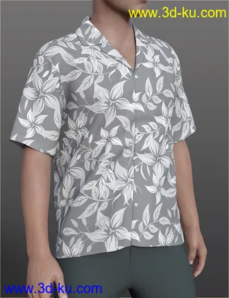 3D打印模型dForce H&C Hawaiian Shirts Outfit for Genesis 8 Male(s)的图片