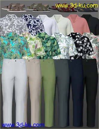 3D打印模型dForce H&C Hawaiian Shirts Outfit for Genesis 8 Male(s)的图片