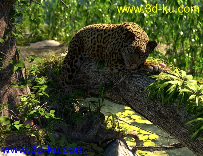 dForce Hair for Big Cat 2模型的图片2
