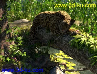 3D打印模型dForce Hair for Big Cat 2的图片