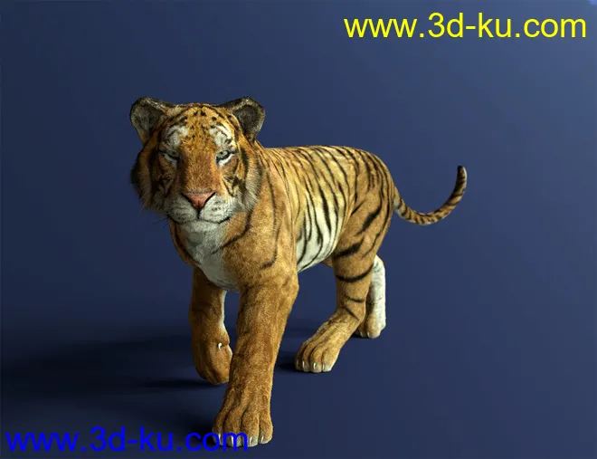 dForce Hair for Big Cat 2模型的图片4