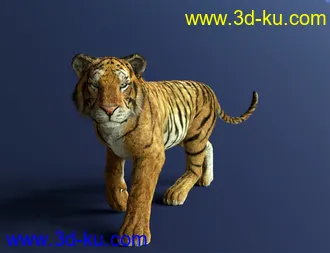 3D打印模型dForce Hair for Big Cat 2的图片