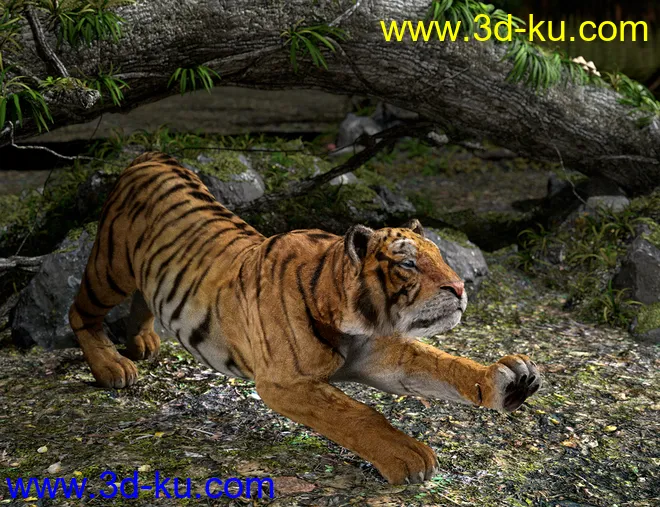 dForce Hair for Big Cat 2模型的图片7