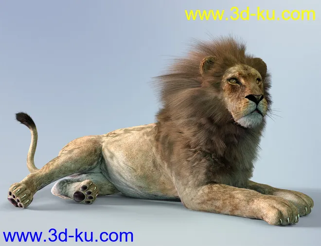 dForce Hair for Big Cat 2模型的图片8