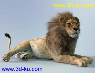 3D打印模型dForce Hair for Big Cat 2的图片