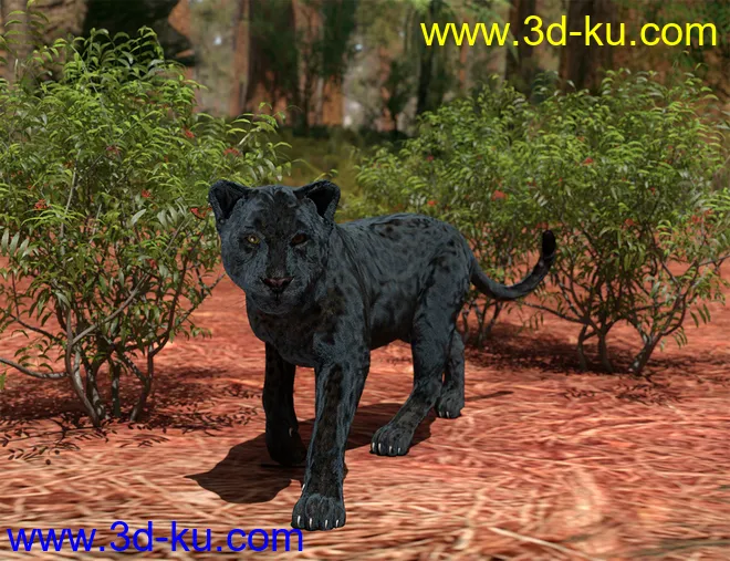 dForce Hair for Big Cat 2模型的图片9