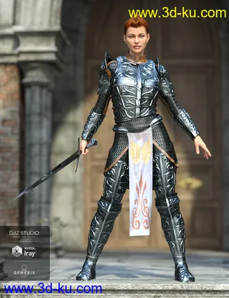 3D打印模型dForce High Paladin for Genesis 8 Female(s)的图片
