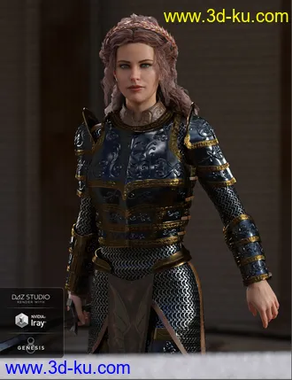 3D打印模型dForce High Paladin for Genesis 8 Female(s)的图片