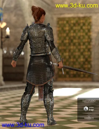 3D打印模型dForce High Paladin for Genesis 8 Female(s)的图片