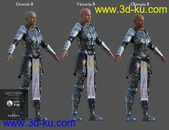 3D打印模型dForce High Paladin for Genesis 8 Female(s)的图片