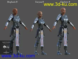 3D打印模型dForce High Paladin for Genesis 8 Female(s)的图片