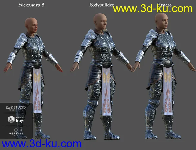dForce High Paladin for Genesis 8 Female(s)模型的图片7