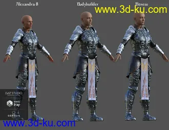 3D打印模型dForce High Paladin for Genesis 8 Female(s)的图片