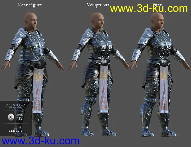 dForce High Paladin for Genesis 8 Female(s)模型的图片8