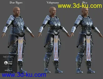 3D打印模型dForce High Paladin for Genesis 8 Female(s)的图片