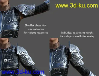 3D打印模型dForce High Paladin for Genesis 8 Female(s)的图片