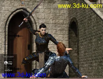 3D打印模型dForce High Paladin for Genesis 8 Female(s)的图片