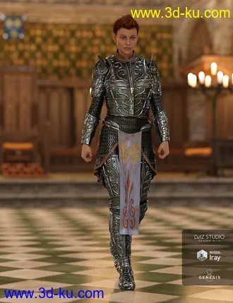 3D打印模型dForce High Paladin for Genesis 8 Female(s)的图片