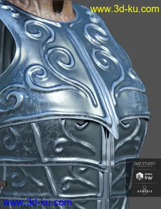 3D打印模型dForce High Paladin for Genesis 8 Female(s)的图片