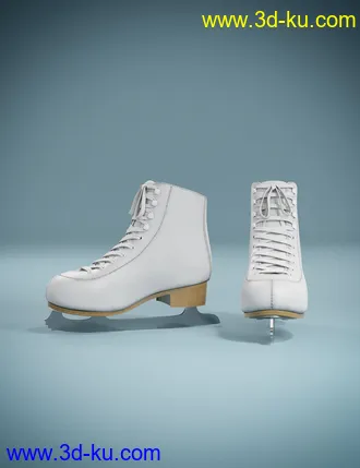 3D打印模型dForce Ice Skating Princess Outfit and Rink for Genesis 8 Female(s)的图片