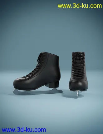 3D打印模型dForce Ice Skating Princess Outfit and Rink for Genesis 8 Female(s)的图片