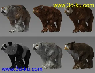 3D打印模型dForce Oso Lechuza for DAZ Dog 8的图片