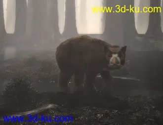 3D打印模型dForce Oso Lechuza for DAZ Dog 8的图片