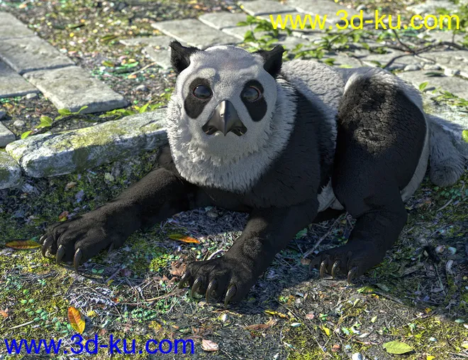 dForce Oso Lechuza for DAZ Dog 8模型的图片8