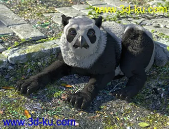 3D打印模型dForce Oso Lechuza for DAZ Dog 8的图片