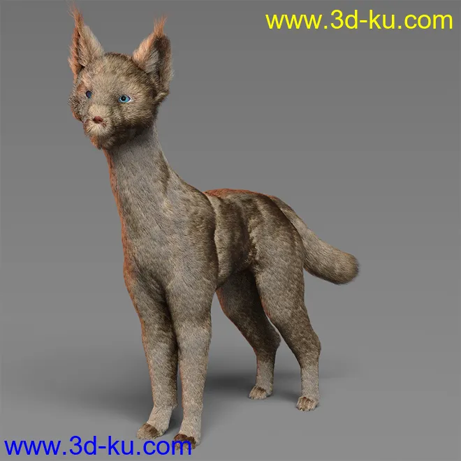 dForce Oso Pooka for Daz Dog 8模型的图片5
