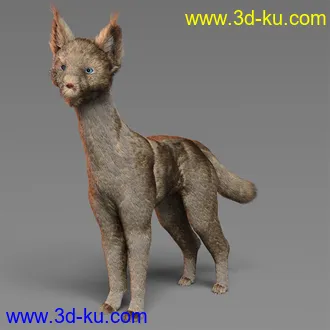 3D打印模型dForce Oso Pooka for Daz Dog 8的图片