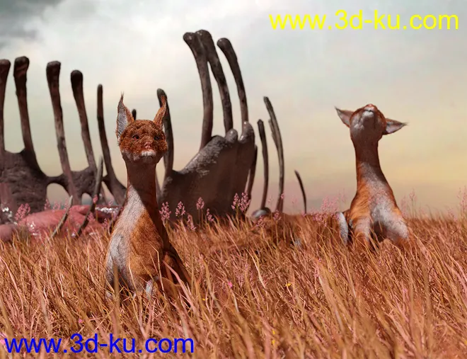 dForce Oso Pooka for Daz Dog 8模型的图片6