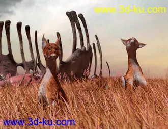 3D打印模型dForce Oso Pooka for Daz Dog 8的图片