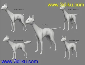 3D打印模型dForce Oso Pooka for Daz Dog 8的图片