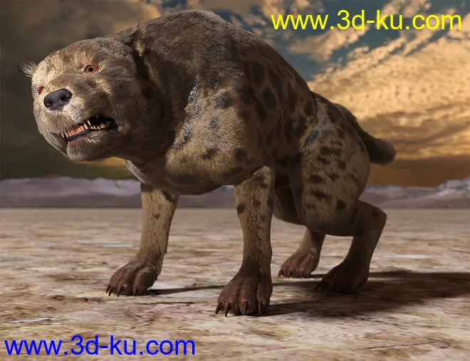dForce Oso Pooka for Daz Dog 8模型的图片11