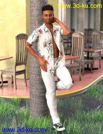 3D打印模型dForce Party Oahu Outfit for Genesis 8 Male(s)的图片