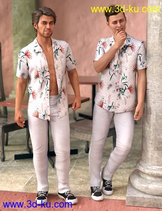 3D打印模型dForce Party Oahu Outfit for Genesis 8 Male(s)的图片
