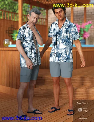 3D打印模型dForce Poolside Oahu Outfit for Genesis 8 Male(s)的图片